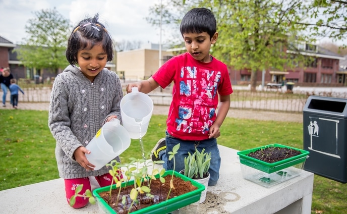 Water geven planten